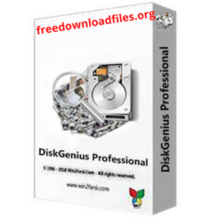 DiskGenius Professional 5.4.5.1412 With Crack Download [Latest]